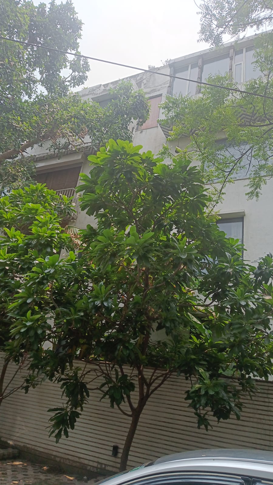 RESIDENTIAL BUILDING AT 25, NIZAMUDDIN EAST, N.D.
