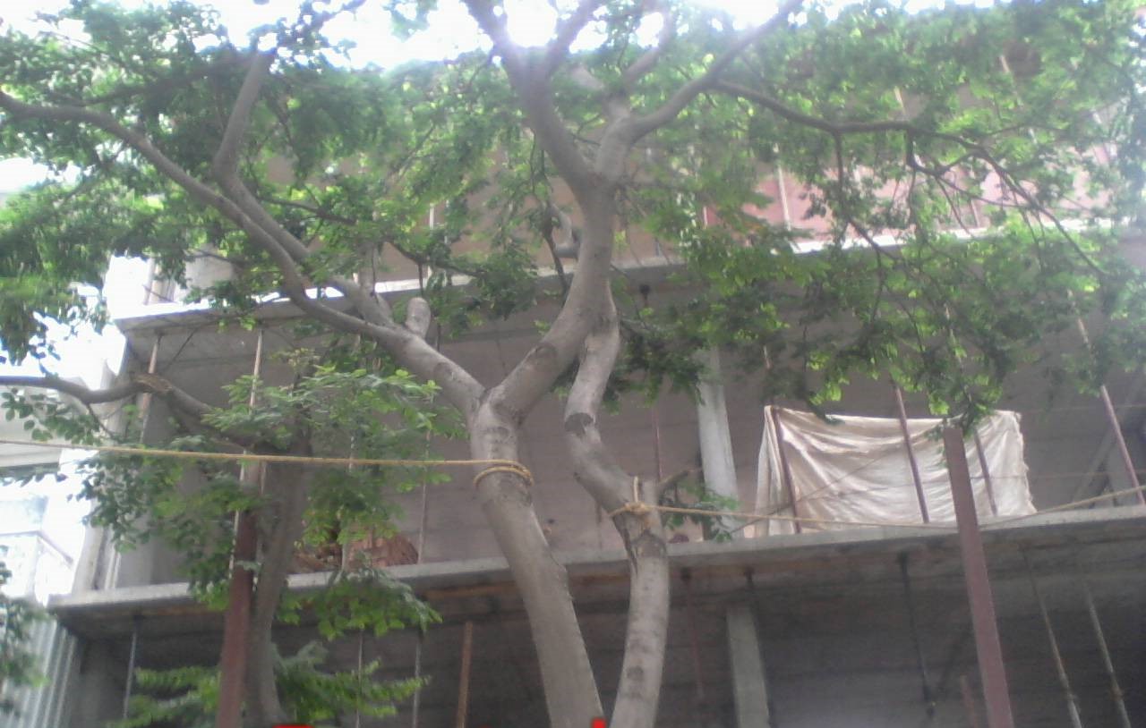 'SETHI RESIDENCE' AT NEETI BAGH, NEW DELHI